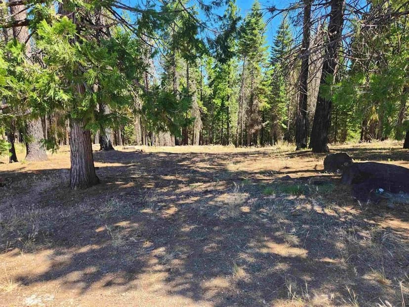 Vacant Land in Lake Almanor West