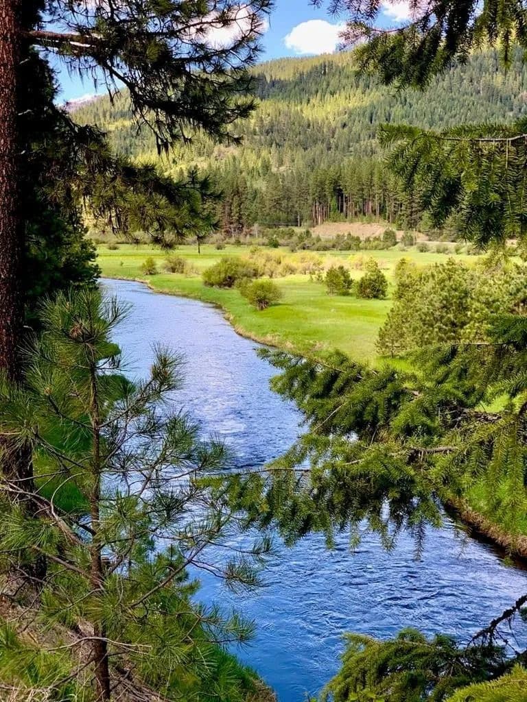 Lots & Land-Other in New Meadows