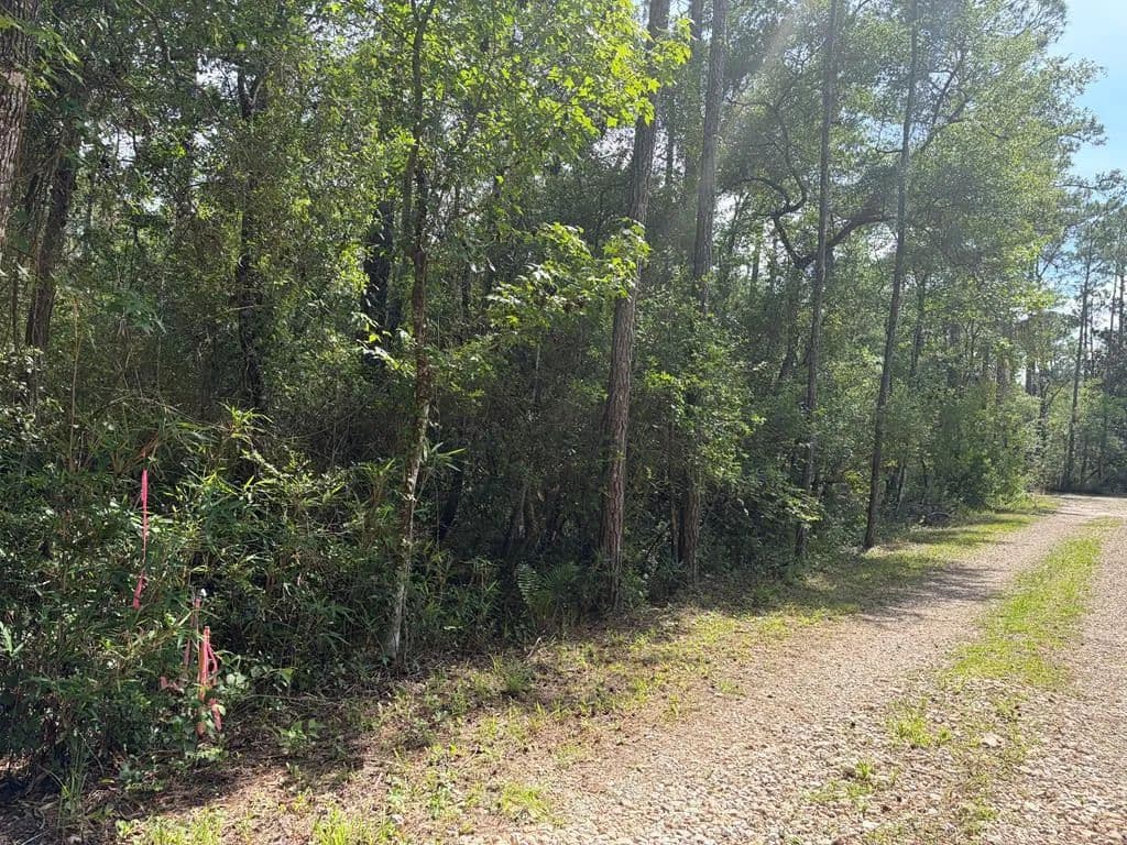 Property from Lot 18 Pamela Pl - KW - Sopchoppy, Florida, 32358