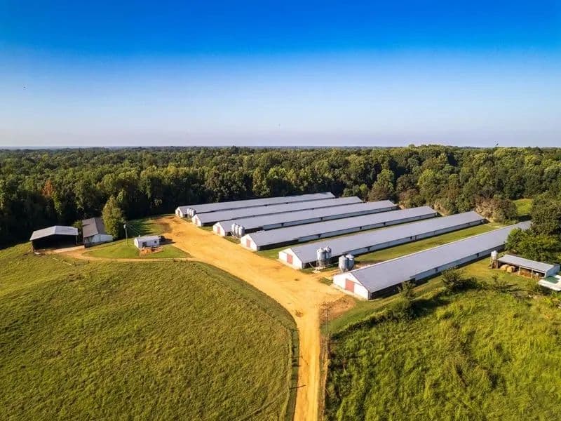 RW Broiler Farm – Six House Farm in Graves County, Kentucky - Fulton, Kentucky, 42041