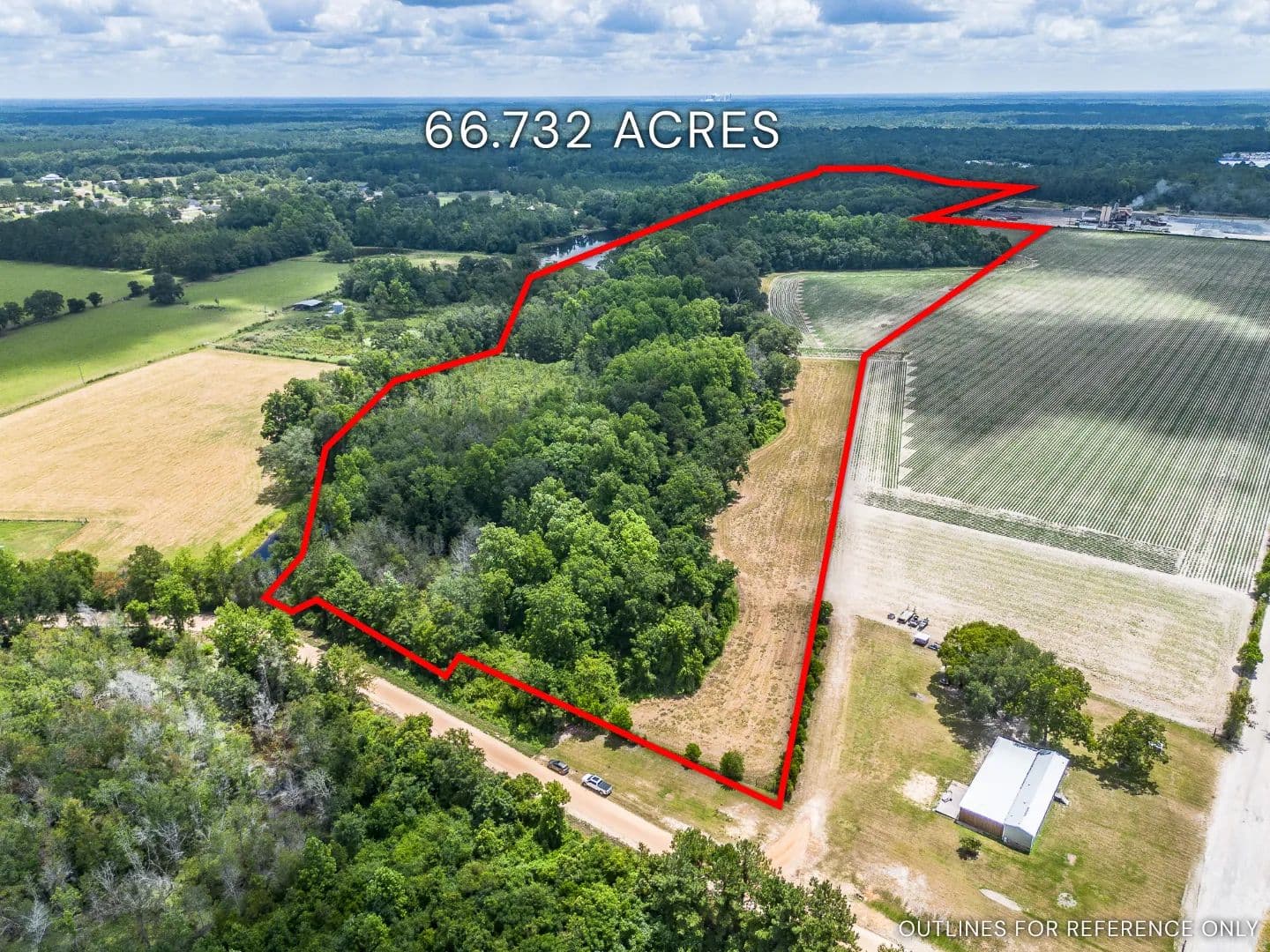 66.732 Acres Nesbitt Road	 - Odum, Georgia, 31555