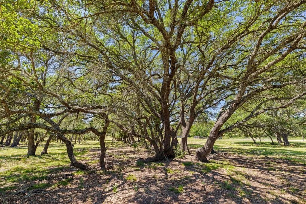 27 Acres of Land for Sale in Johnson City, Texas - Johnson City, Texas, 78636