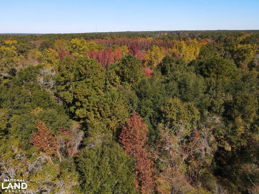 Segars Millpond Tract