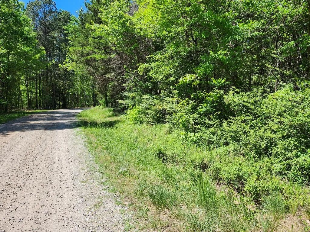 Vacant Land in Farmville - Farmville, Virginia, 23901