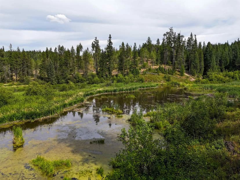 Property from 52XX Wagner Rd - KW