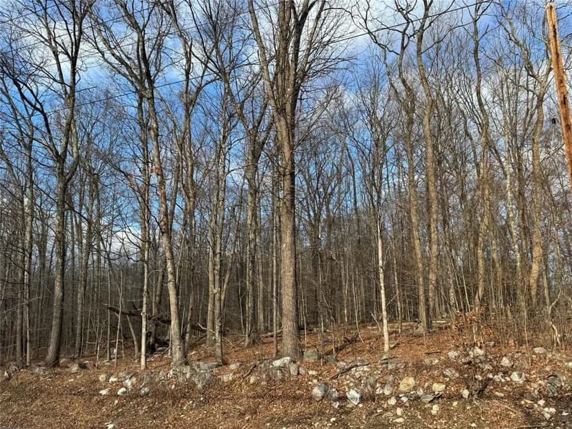 Vacant Land (0-10 Acres) in Pine Bush