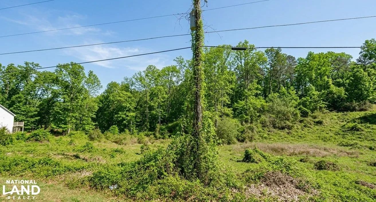 Ember Lane Homestead - Ohatchee, Alabama, 36271