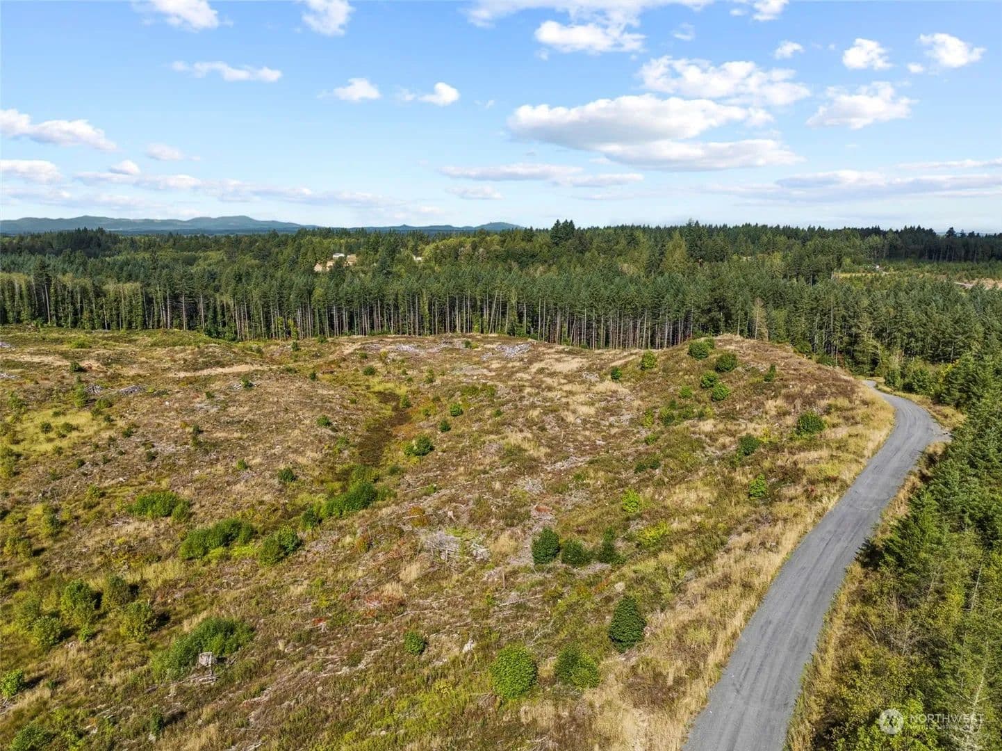 Vacant Land in Toledo - Toledo, Washington, 98591
