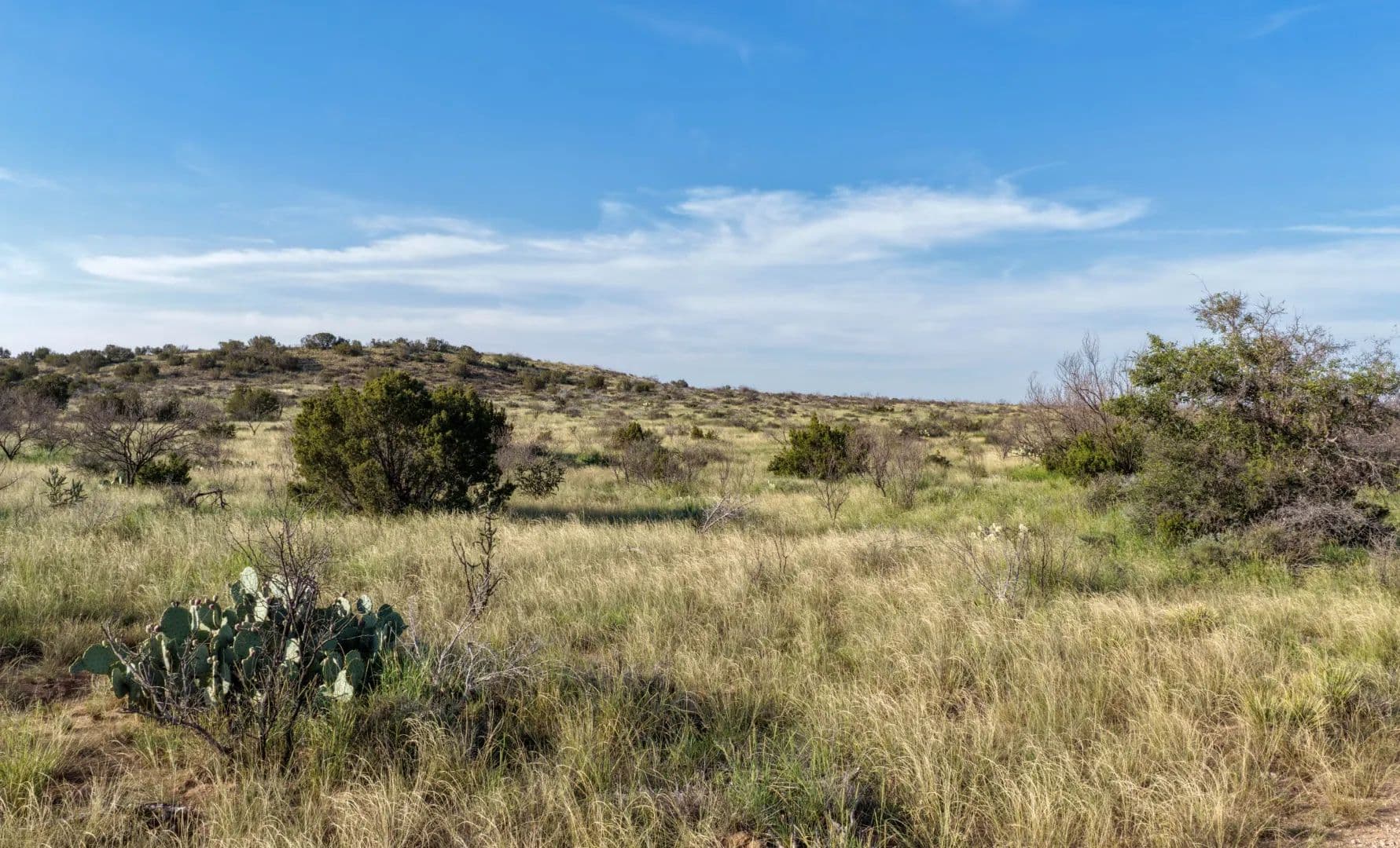 Gold Creek Ranch - Gail, Texas, 79738