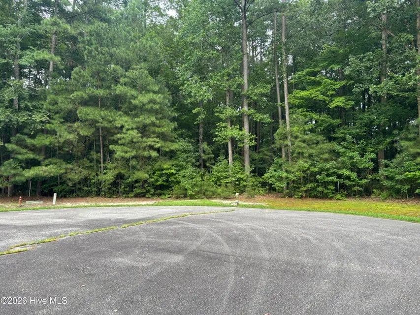 Vacant Land (0-10 Acres) in Hertford - Hertford, North Carolina, 27944