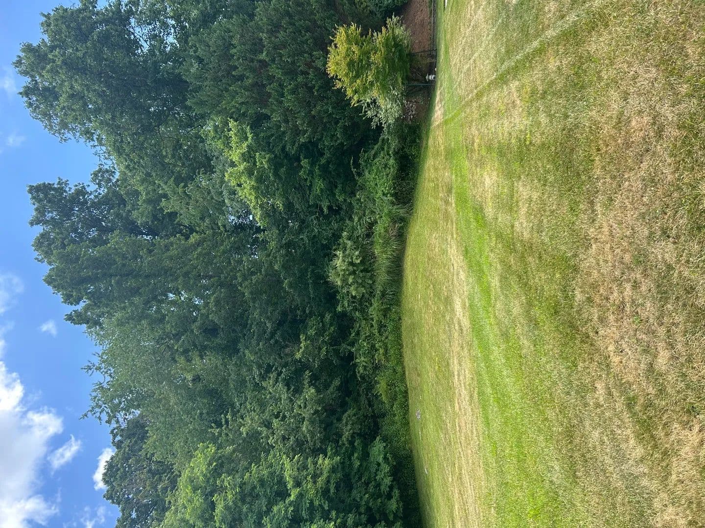Vacant Land (0-10 Acres) in Radford - Radford, Virginia, 24141
