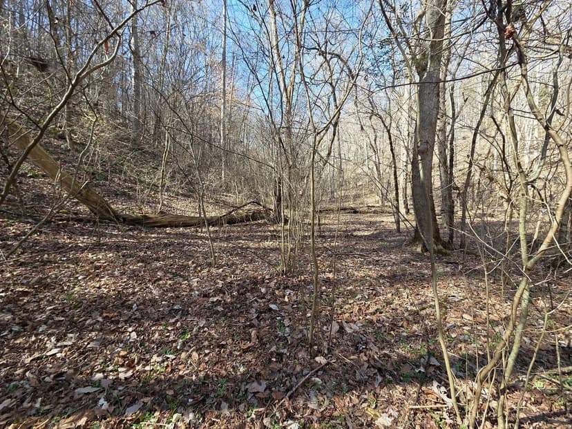 Land -Agricultural (Not Zoned) in Newport