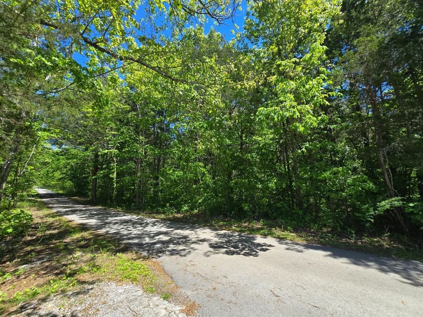 Land -Agricultural (Not Zoned) in Pennington Gap