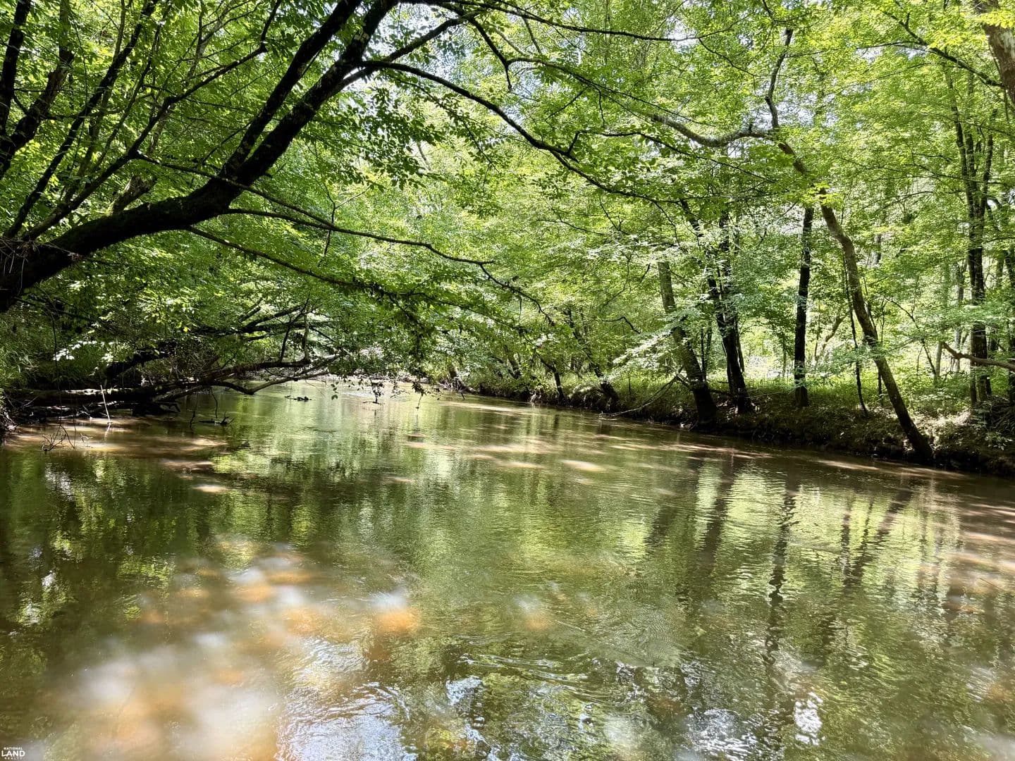 Rabon Creek Homesite - Waterloo, South Carolina, 29384