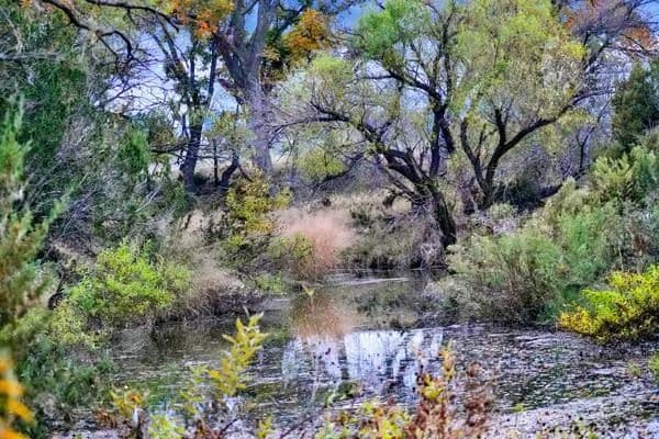 Property from 16033 Door Key Rd - KW