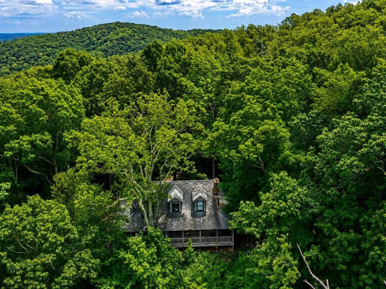 Blue Ridge Wilderness Retreat : Scenic Mountain Cabin On 10.8 +/- Acres For Sale Bedford County, VA - Bedford, Virginia, 24523