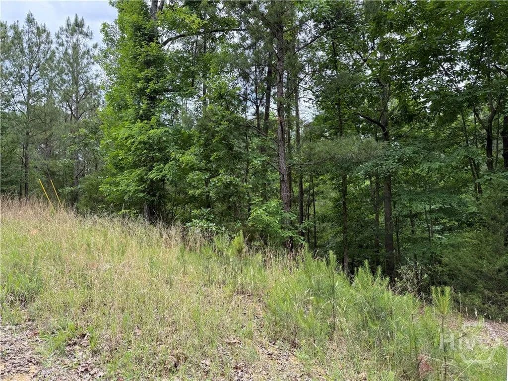 Vacant Land in Elberton - land for sale
