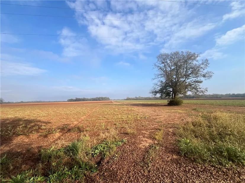 Lots & Land-Other in Cottonport