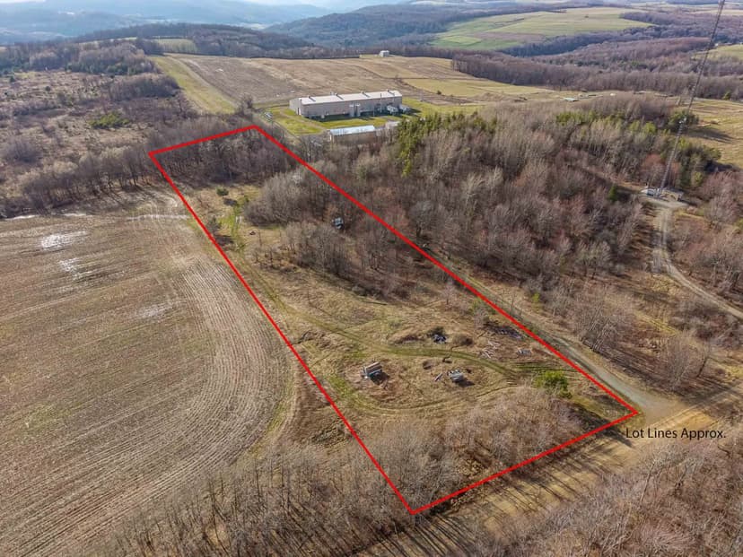 5 acre Building Lot and Recreational Land in Jasper NY 2407 Timmerman Rd