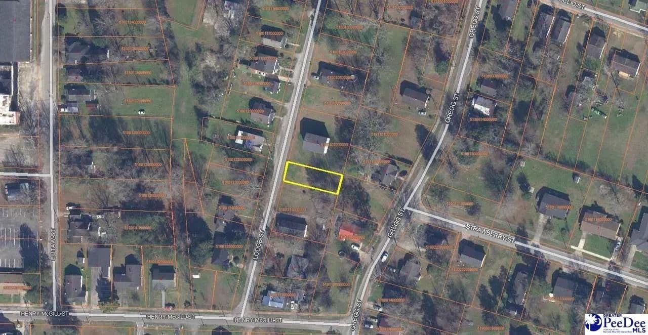 Lots & Land-Other in Marion - Marion, South Carolina, 29571