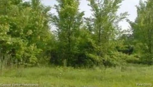Lots & Land-Other in Romulus - Romulus, Michigan, 48174