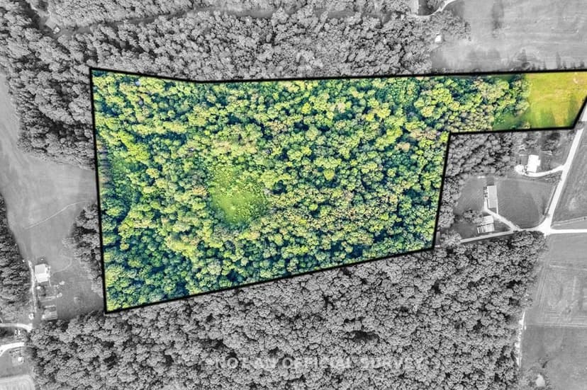 Property from 19.267ac Wildcat Road - KW