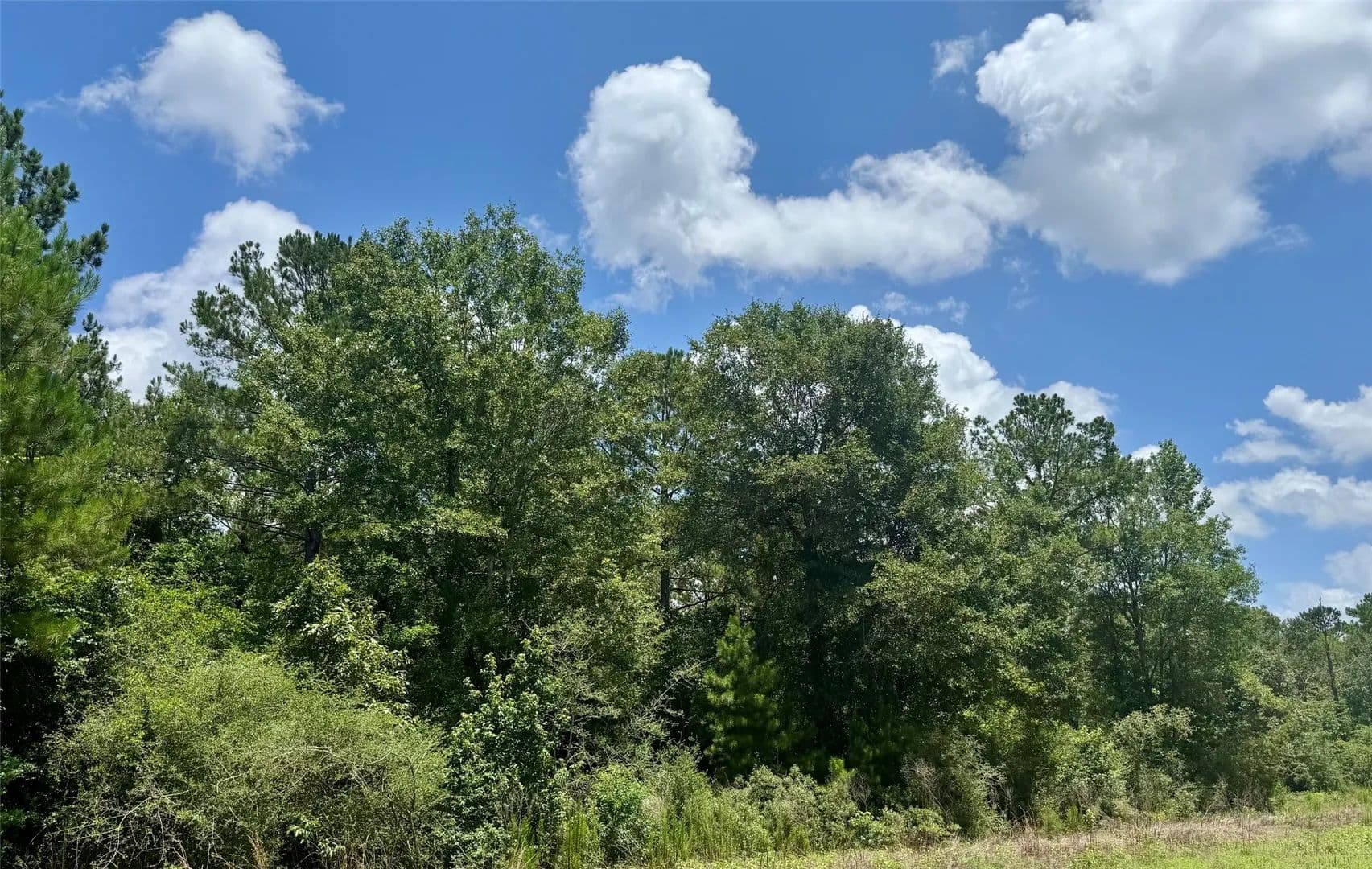 1.36 Acres of Land for Sale in Livingston, TX - Livingston, Texas, 77351