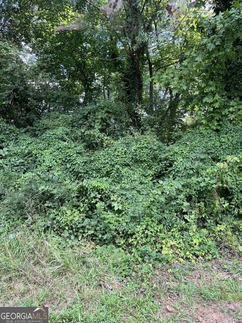 0.3 Acres of Land for Sale in Canton, GA - Canton, Georgia, 30114