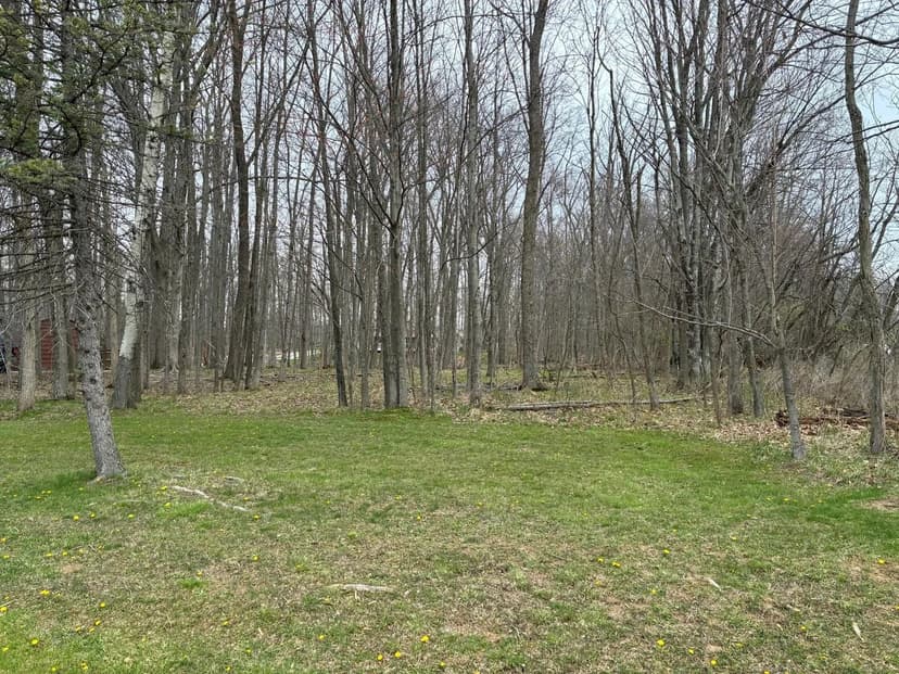 Lots & Land-Other in Mount Gilead