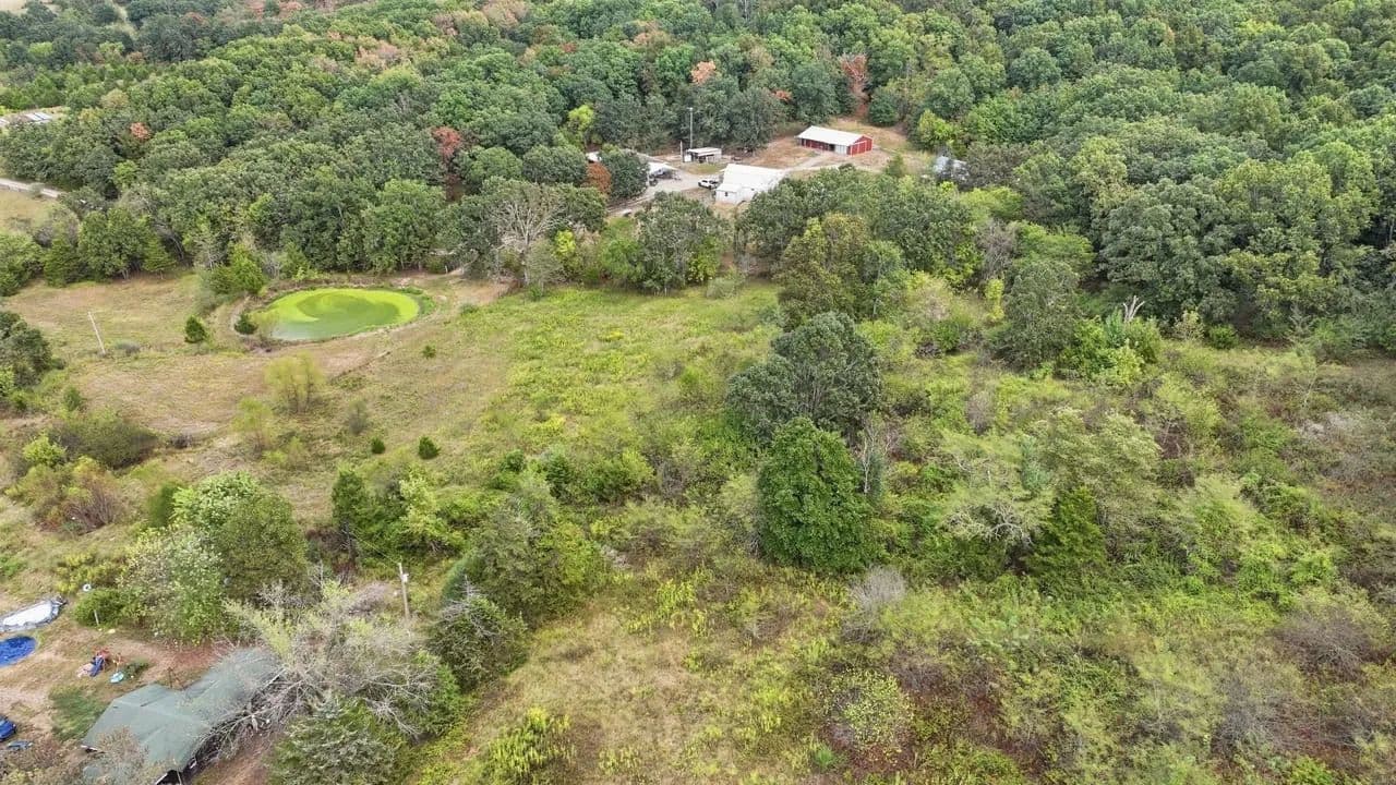 Bluebird Road - Cabool, Missouri, 65689