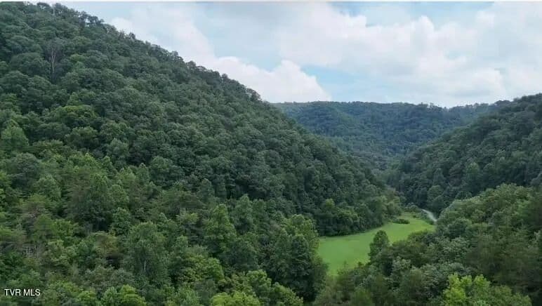 59 Acres of Land for Sale in Duffield, VA - Duffield, Virginia, 24244