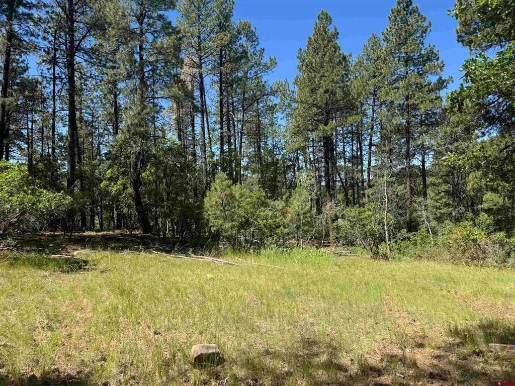 1 Acre of Land for Sale in Bayfield, CO - Bayfield, Colorado, 81122