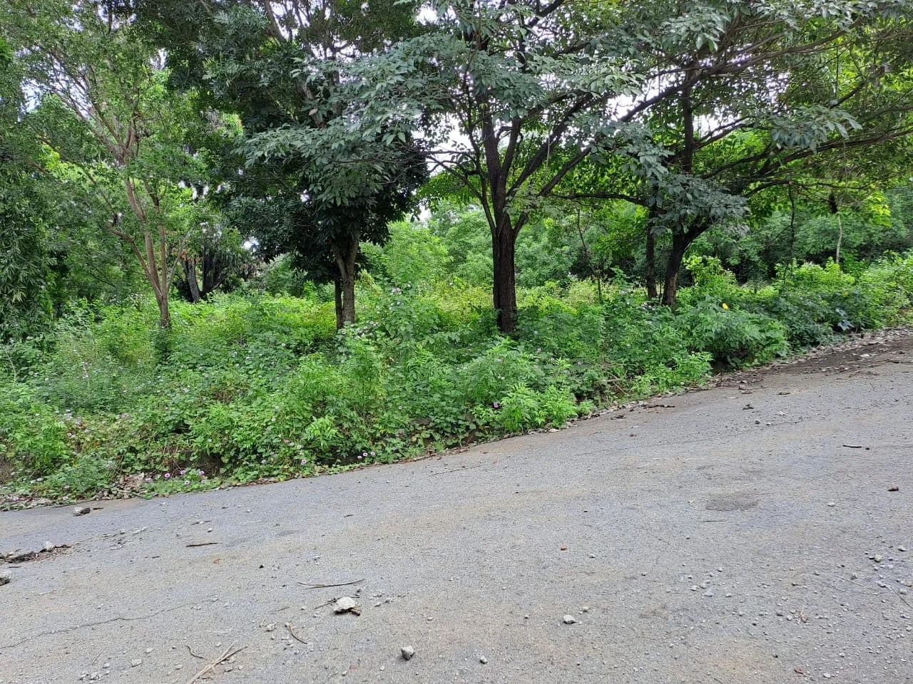 Terreno en venta Mirador de Santo Domingo Lote No. 8 - Nicaragua