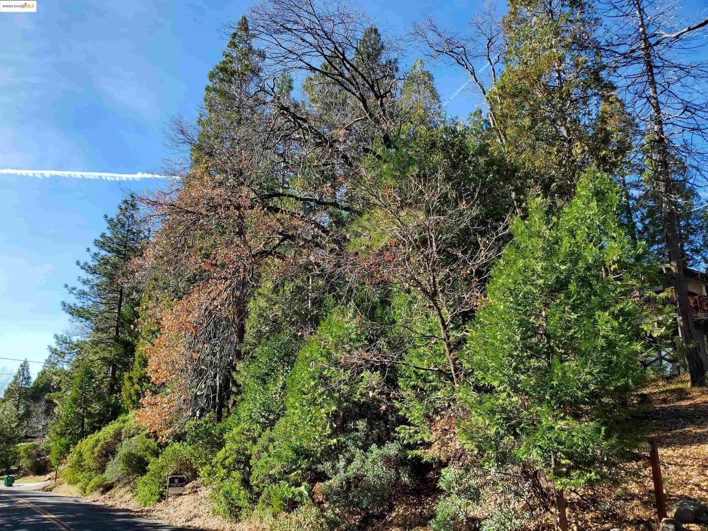 Lots & Land-Other in Twain Harte - Twain Harte, California, 95383