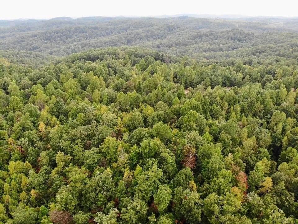 Property from 3680 Copper Creek Road - KW - Berea, Kentucky, 40403