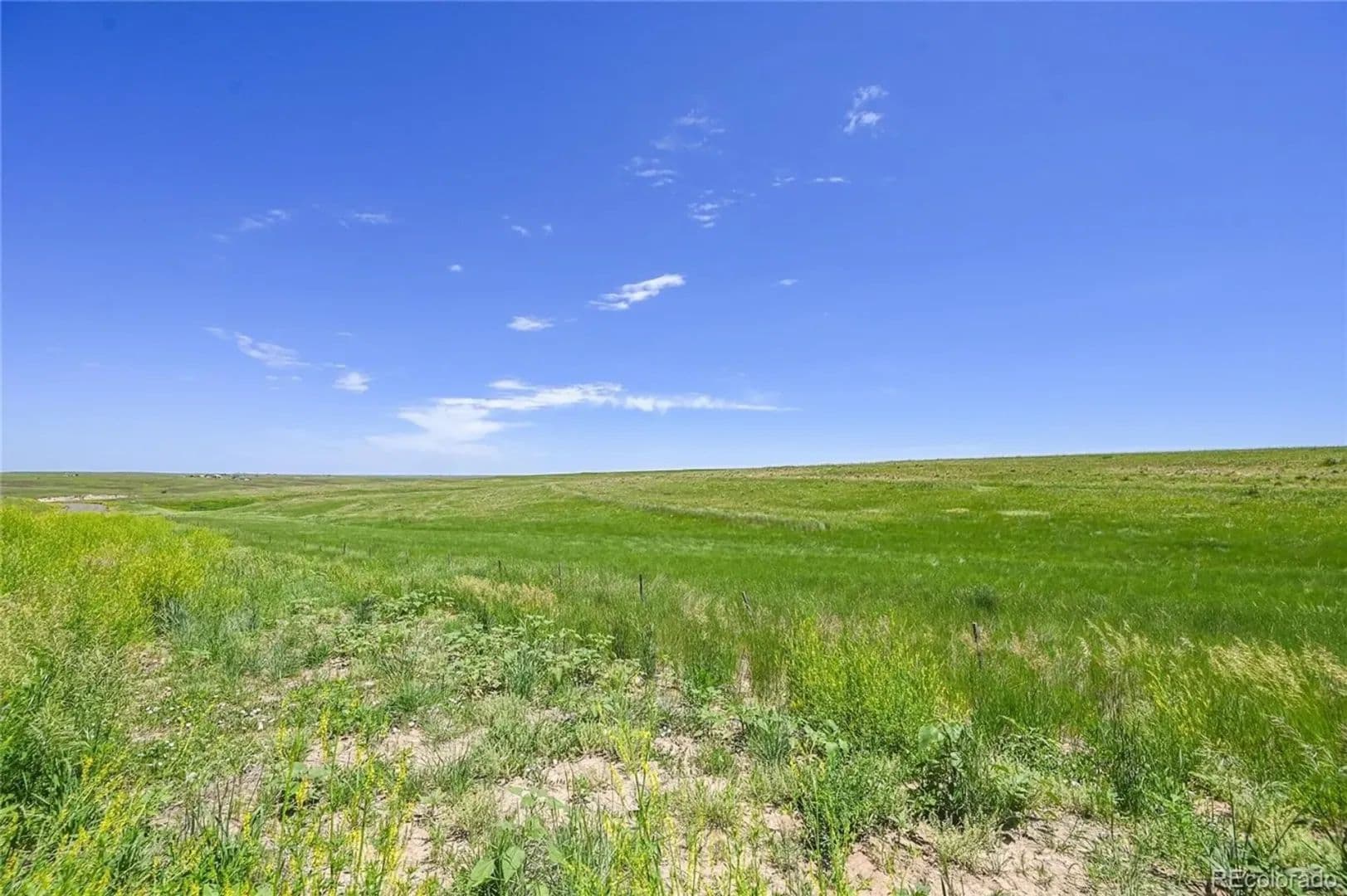 47.72 Acres of Land for Sale in Kiowa, CO - Kiowa, Colorado, 80117