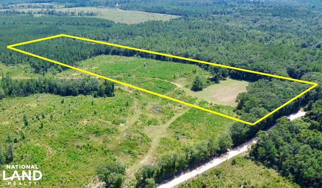 Louella Road Mini-Farm & Recreational Tract #3 - McIntosh, Alabama, 36553