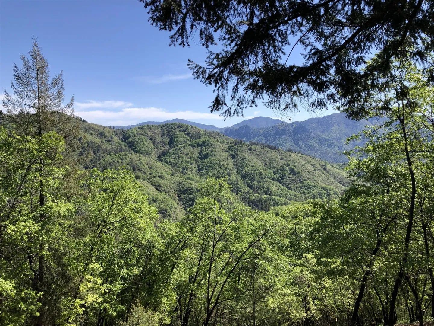 Vacant Land (0-10 Acres) in Lakehead - Lakehead, California, 96051
