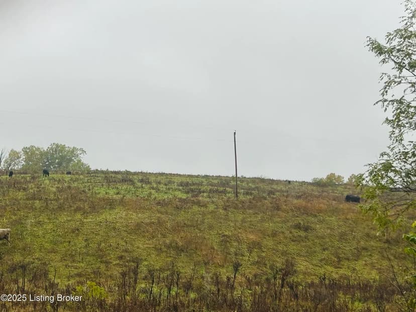 Vacant Land in Springfield