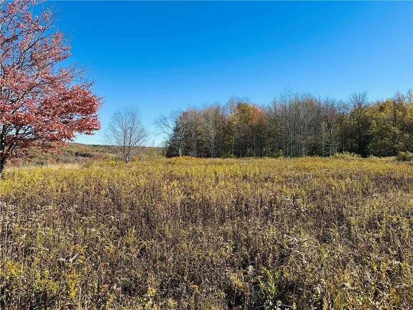 Land -Single Family Acreage in Walton