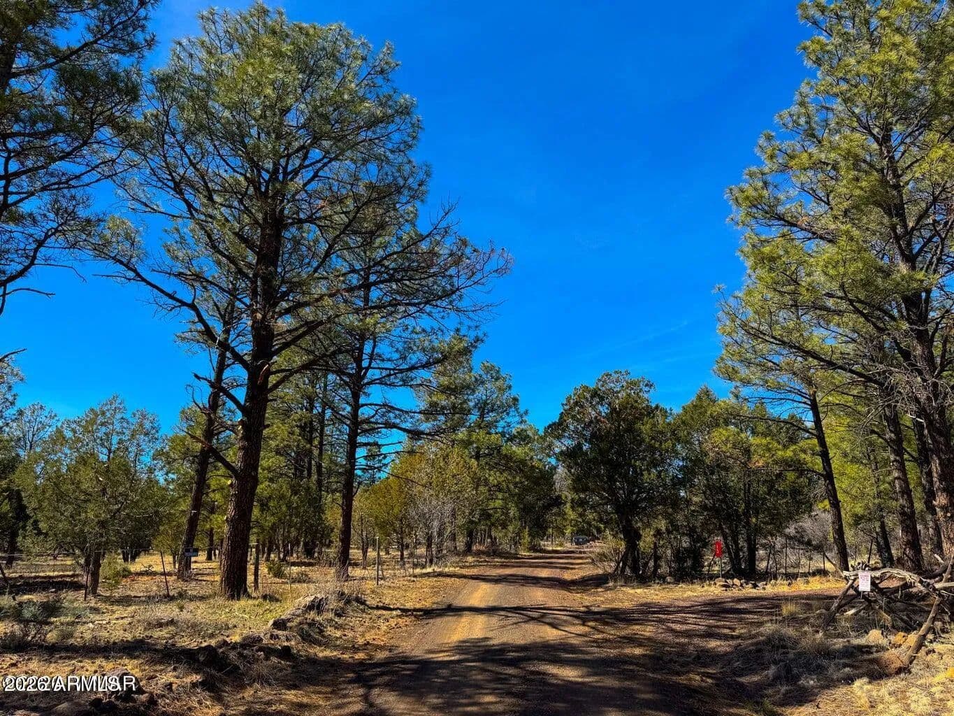 Property from 11 Co Rd 3262 5 Acres -- #- - KW - Vernon, Arizona, 85940