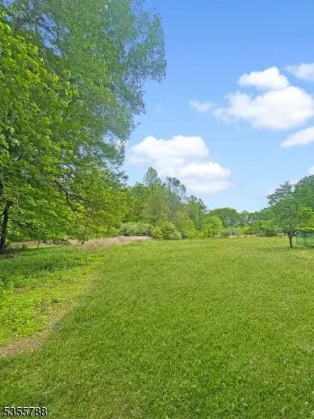 Vacant Land in Chatham Twp.