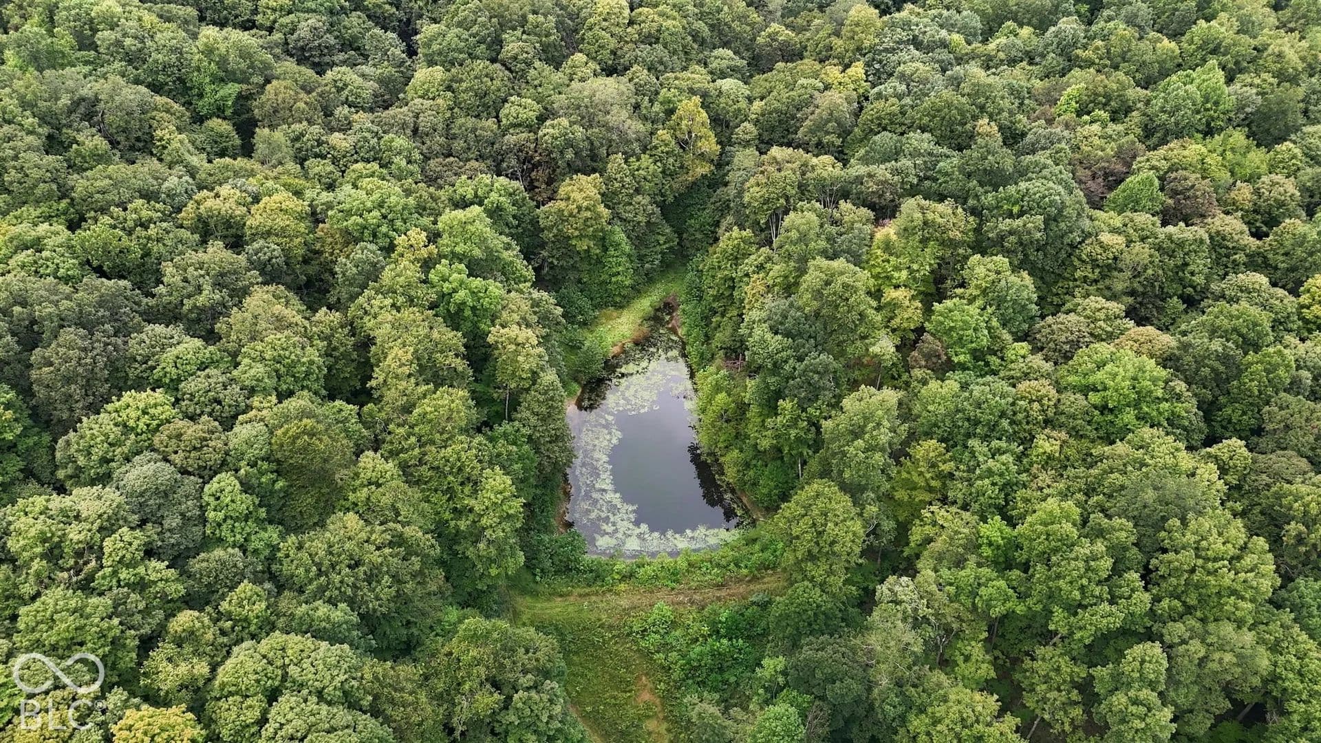 20.11 Acres of Land for Sale in Paragon, IN - Paragon, Indiana, 46166