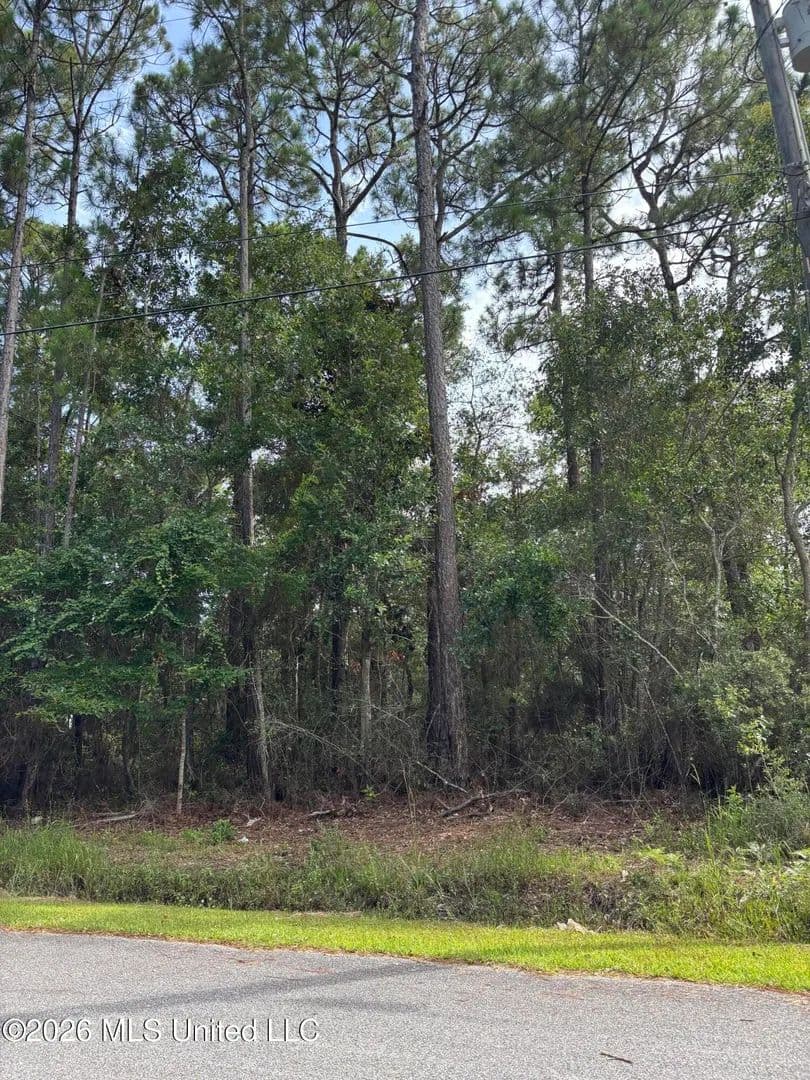 Vacant Land in Ocean Springs - Ocean Springs, Mississippi, 39564