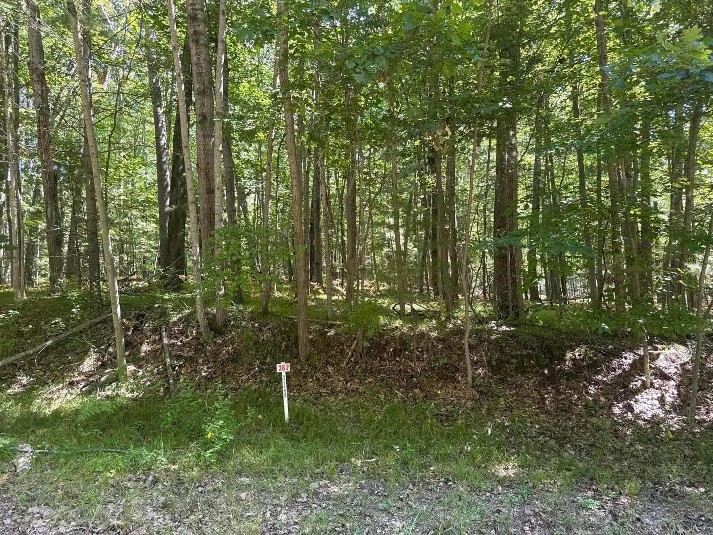 Lots & Land-Other in Stanwood - Stanwood, Michigan, 49346