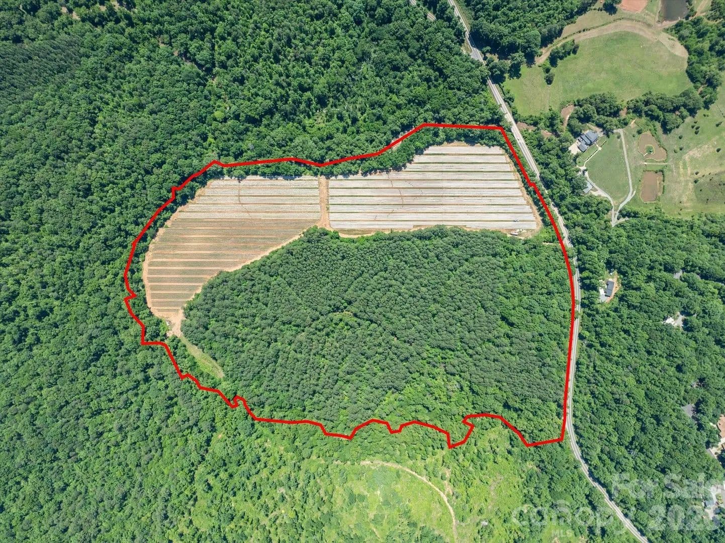 60.98 Acres of Land for Sale in Rutherfordton, NC - Rutherfordton, North Carolina, 28139