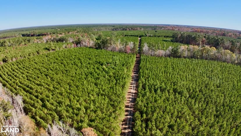 Hertford County Hunting Property