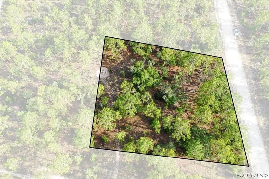 Lots & Land-Other in Williston - Williston, Florida, 32696
