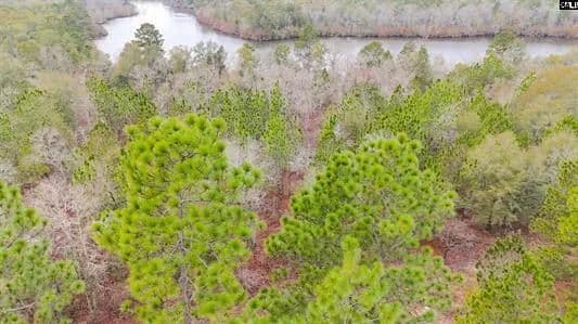 Property from 0 Browns Pond Road - KW - Wagener, South Carolina, 29164