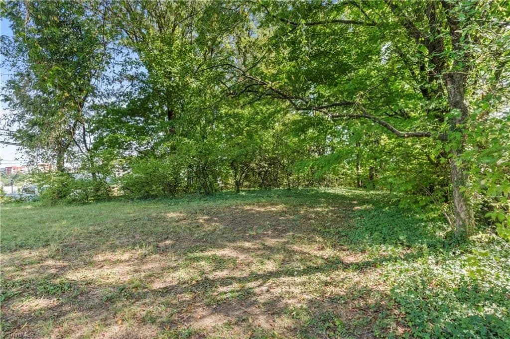 Land -Single Family Acreage in Winston-salem - Winston-Salem, North Carolina, 27101